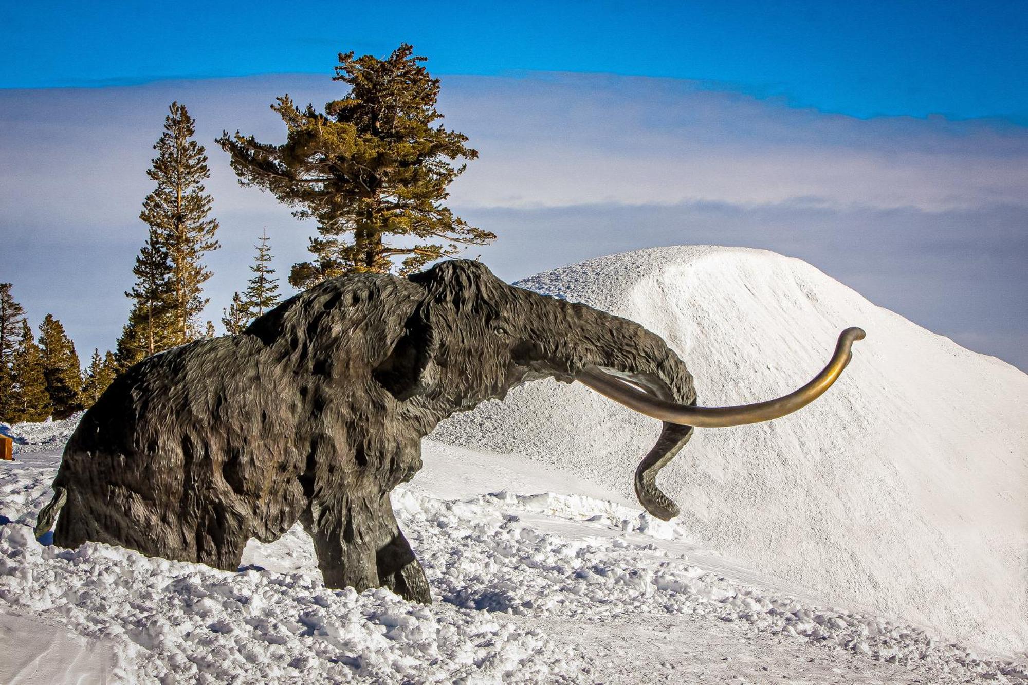 Mammoth Ski & Racquet Club #131 Mammoth Lakes Bagian luar foto